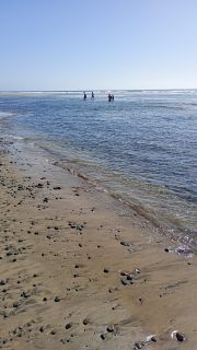 GC-Playa de Maspalomas 2026-117.jpg